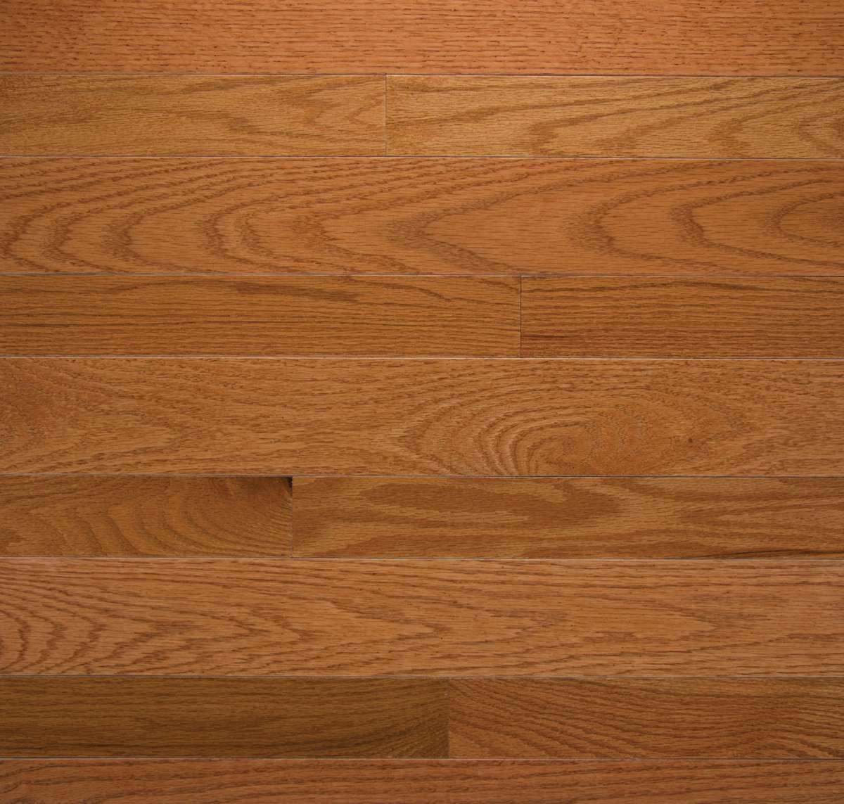 Solid High Gloss Strip