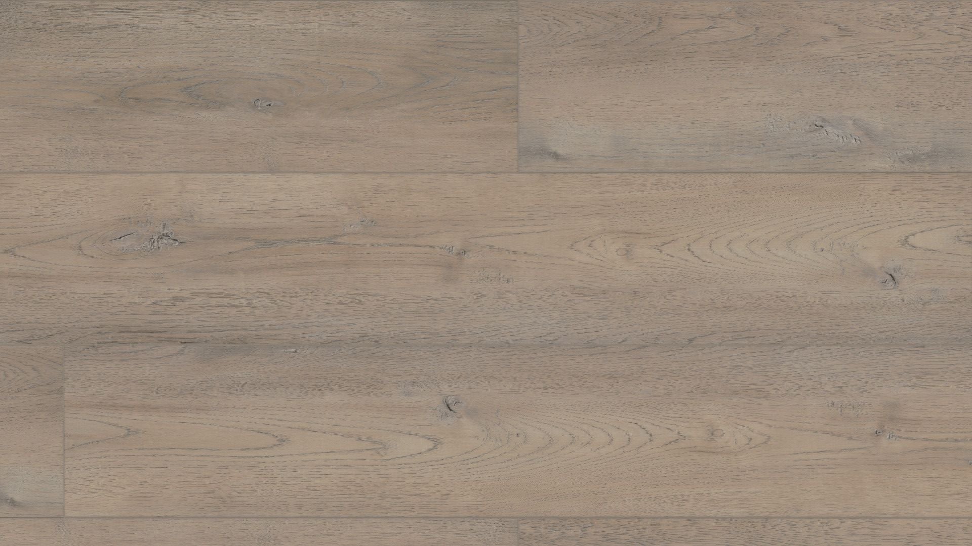 Pro Plus XL Enhanced