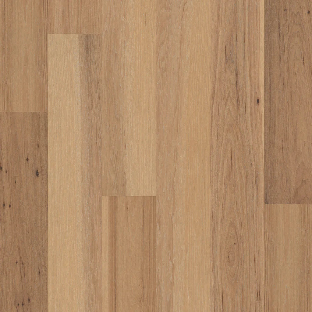 Shaw Sanctuary Hickory 6-3/8" - Mindful ($9.09 p/sf) SW715-01092