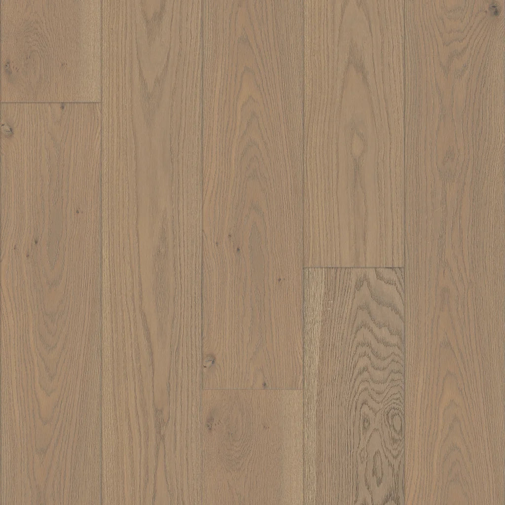 Shaw Expressions 9-1/2" - FINESSE ($11.19 p/sf) SW754-05101