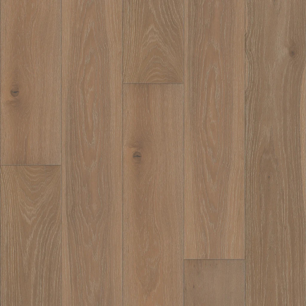 Shaw Expressions 9-1/2" - MURAL ($11.19 p/sf) SW754-05100