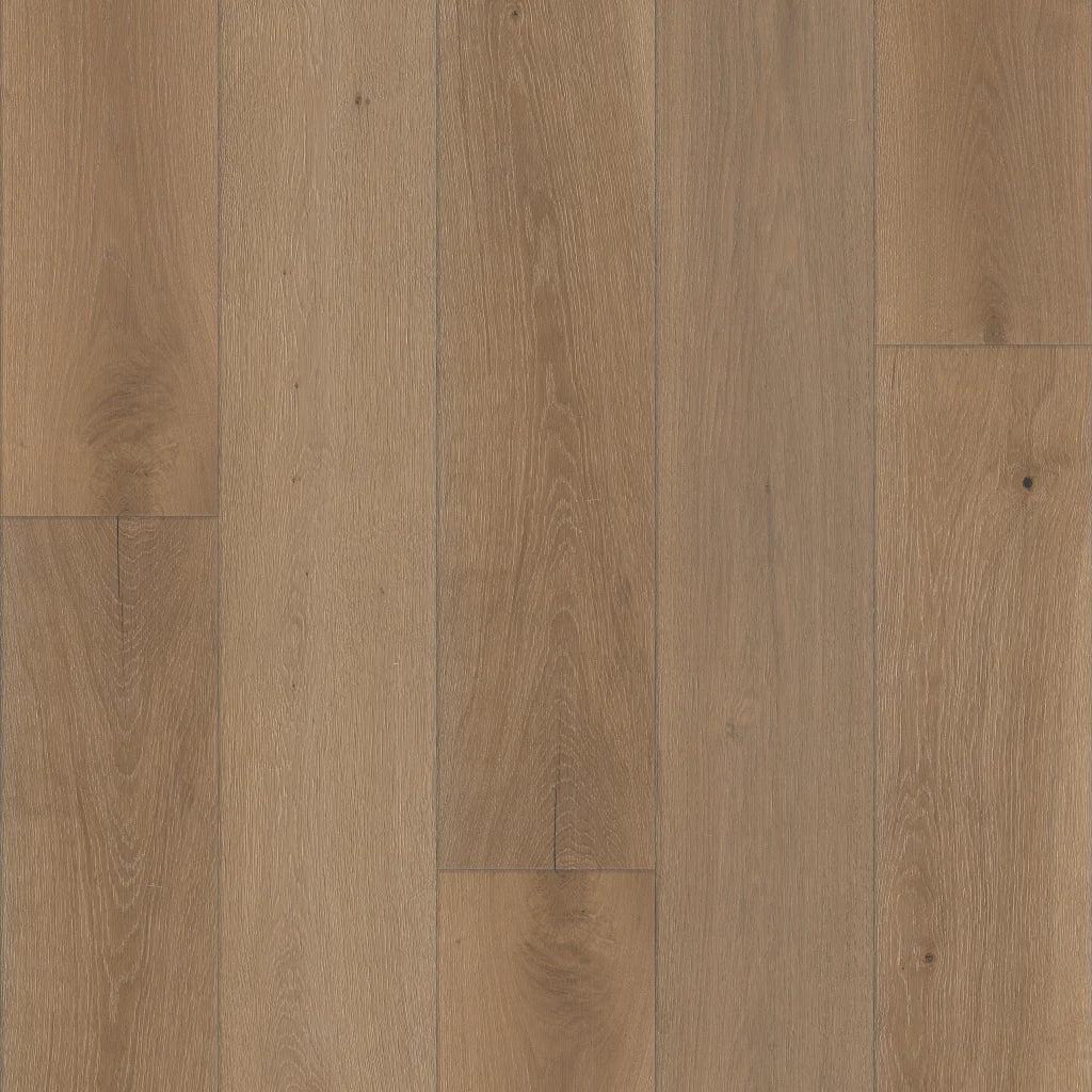 Shaw Expressions 9-1/2" - KINETIC ($11.19 p/sf) SW754-07107