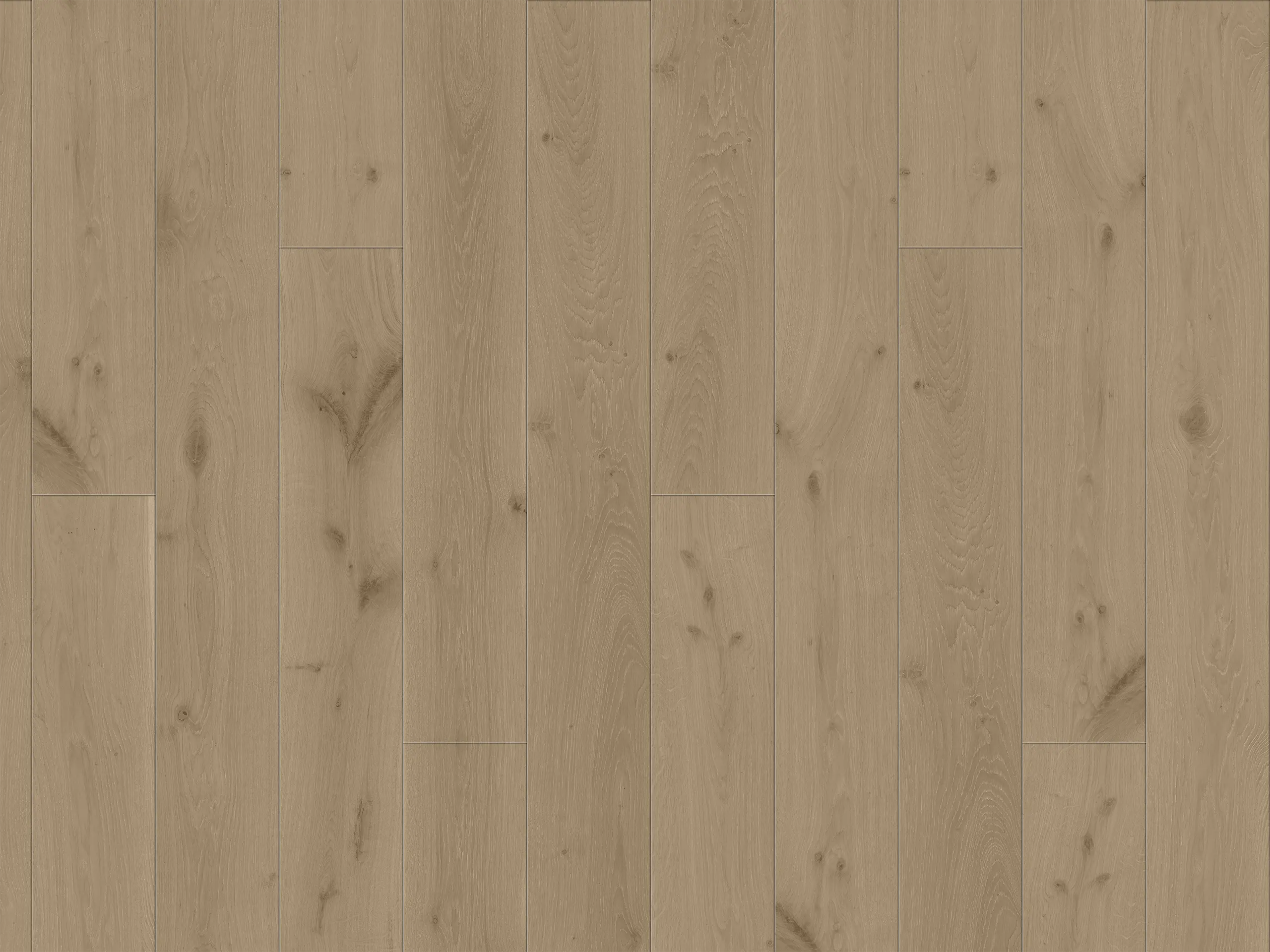 Duchateau Chateau - ANTIBES (7-1/2")