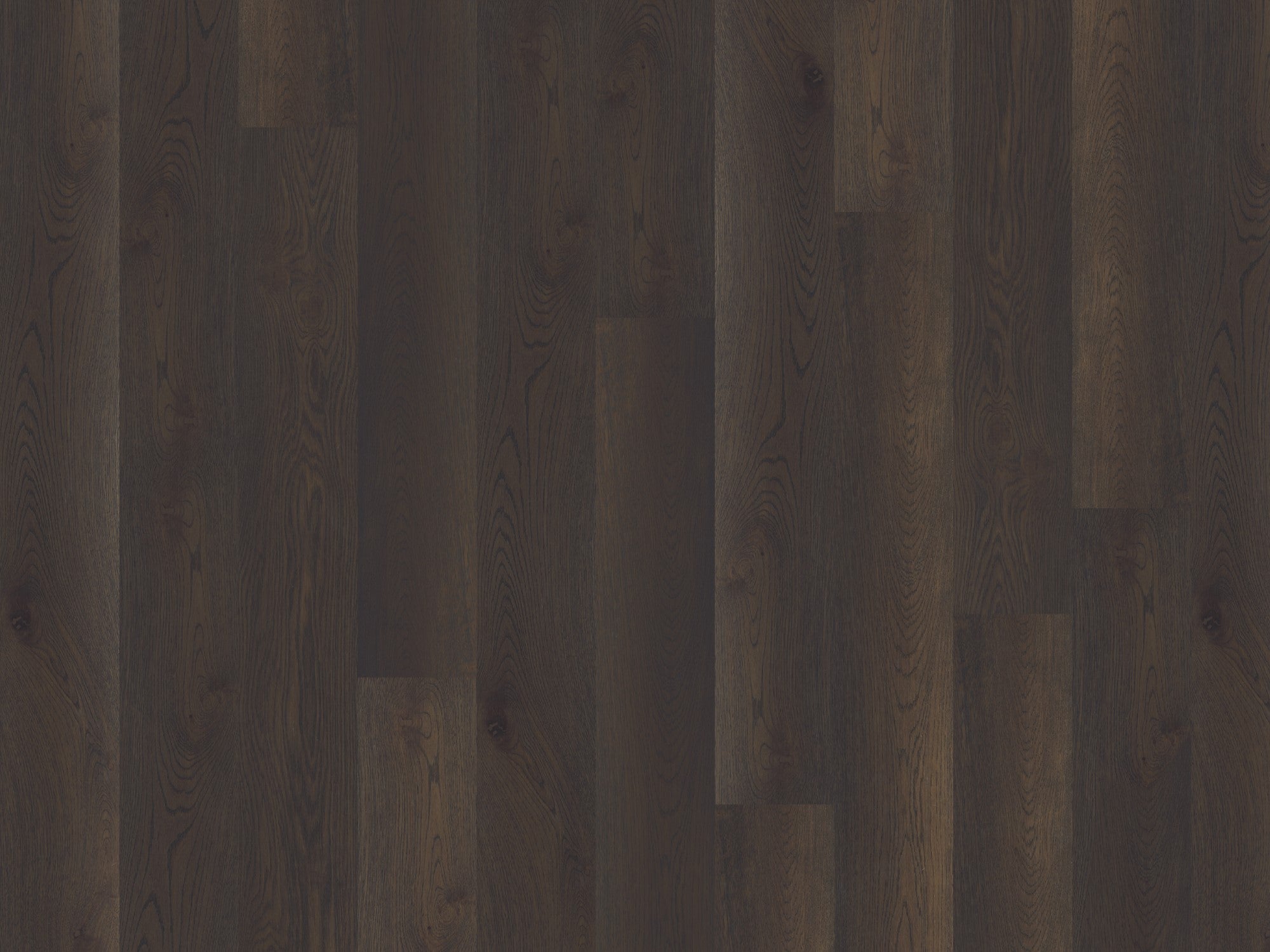 Duchateau Global Winds - BURAN (5/8" x 7-1/2")