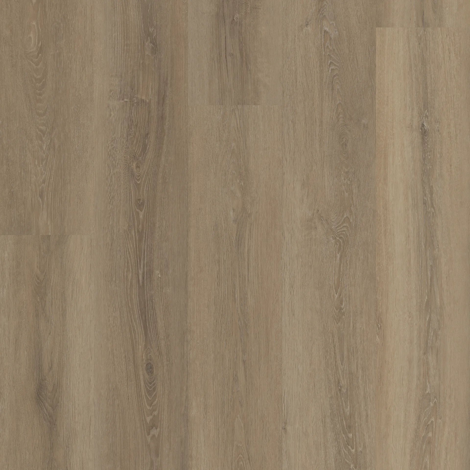 COREtec Plus Premium XL - Grande Ellidy Oak VV662-04029
