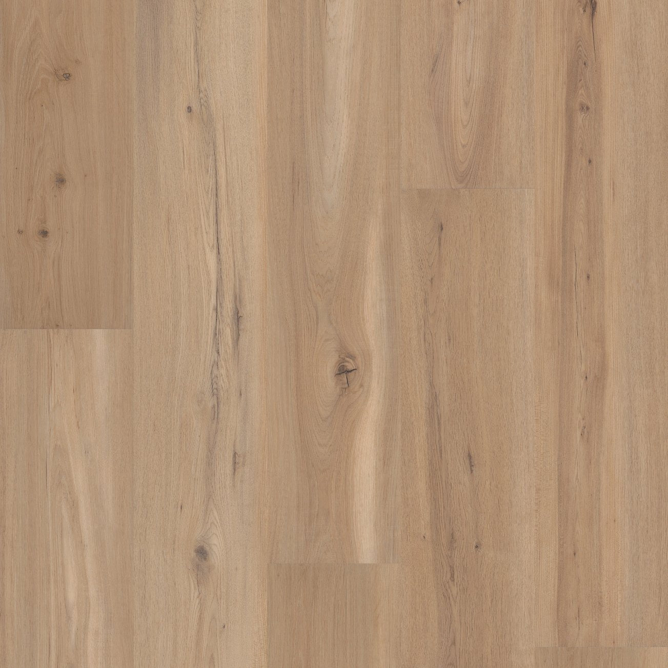 COREtec Plus Soft Step - Blonde Oak VV810-05026