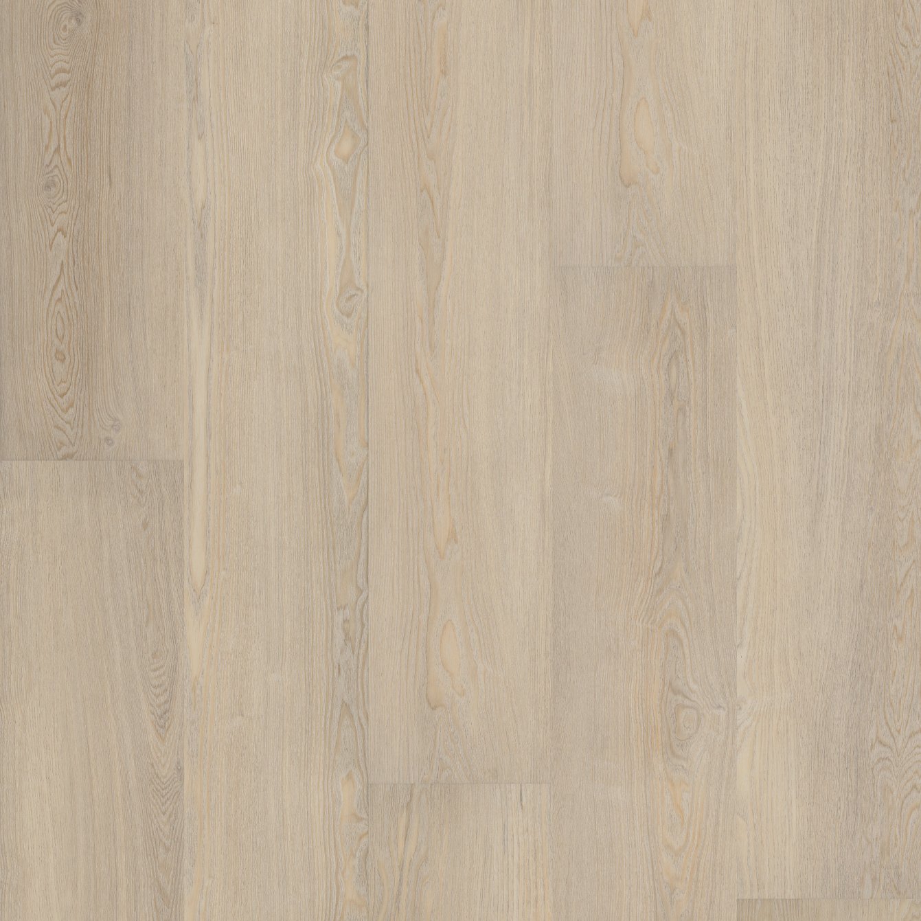 COREtec Plus Soft Step - Conch Ash VV810-01024