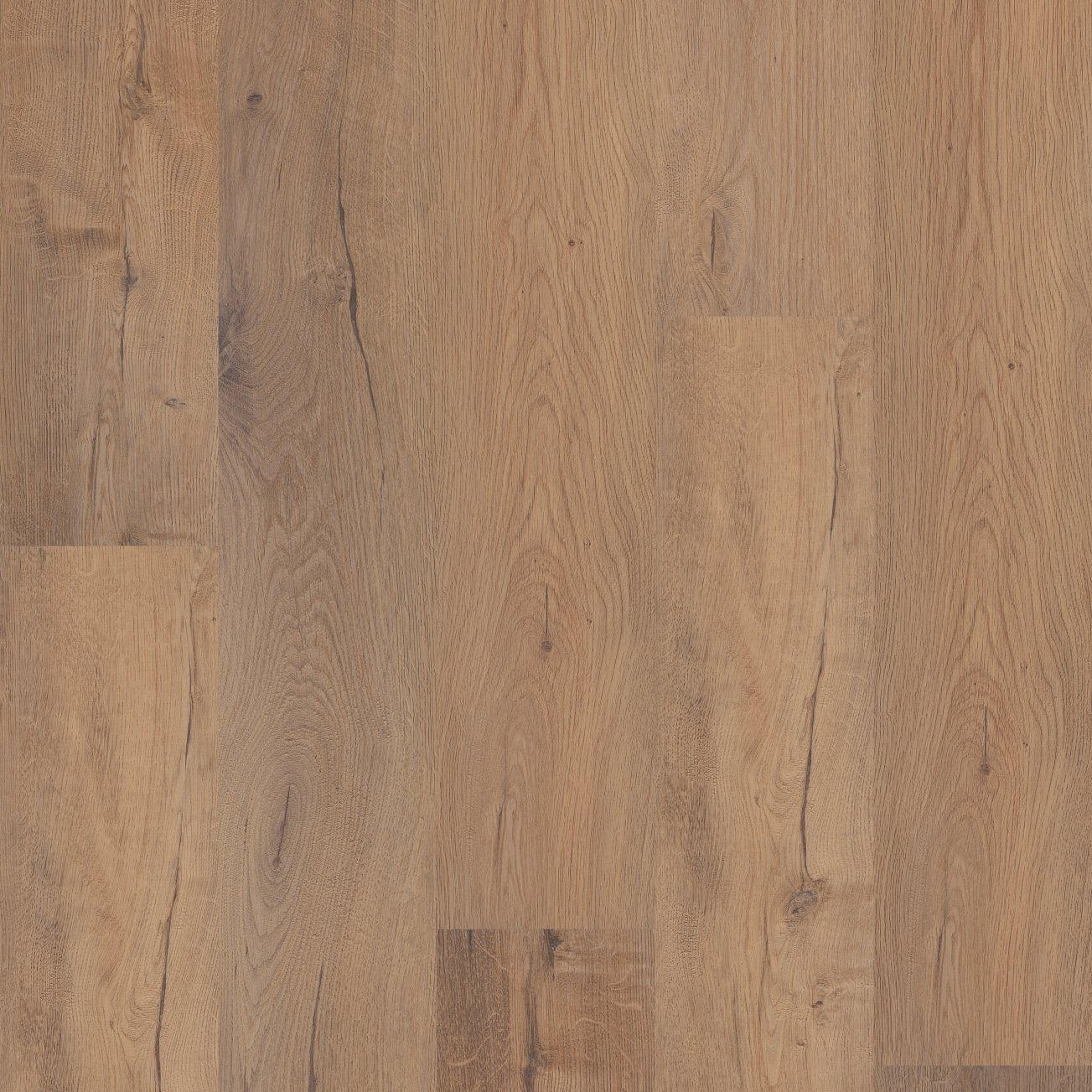 COREtec Plus Soft Step - Sand Dollar Oak VV810-05024