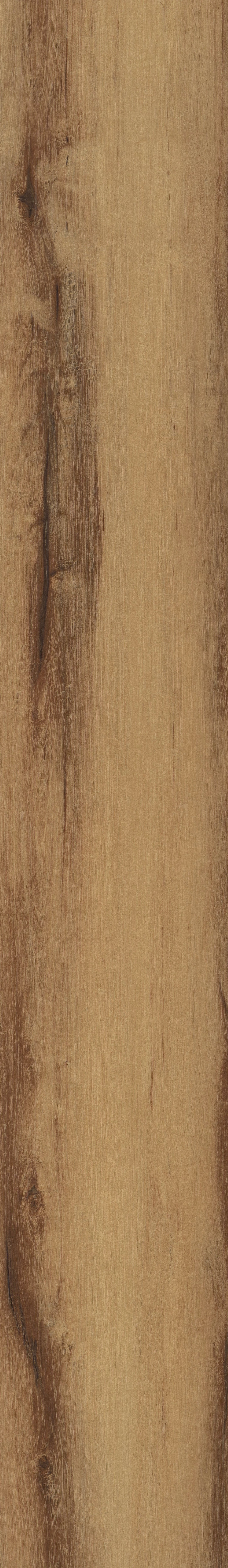 COREtec Pro Plus - Belmont Hickory VV017-01005