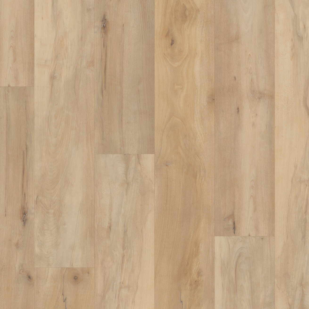 COREtec Pro Plus Integrated - Brookfield Maple VV800-04039