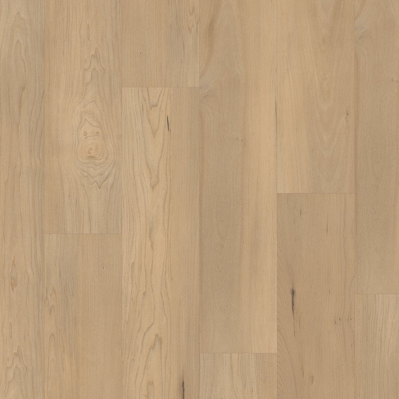 COREtec Pro Plus Integrated - Douglas Maple VV800-05035