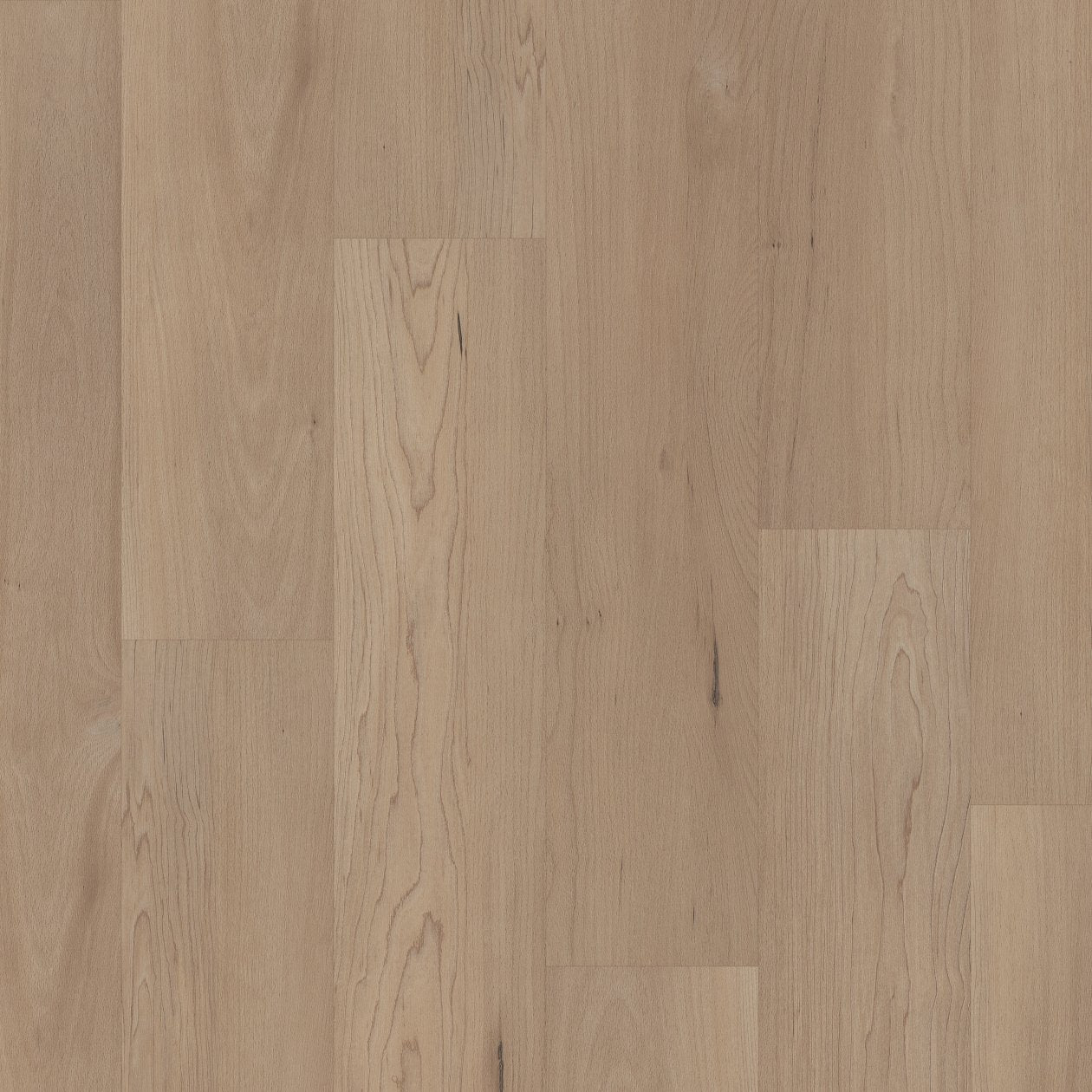 COREtec Pro Plus Integrated - Hartfield Maple VV800-05034