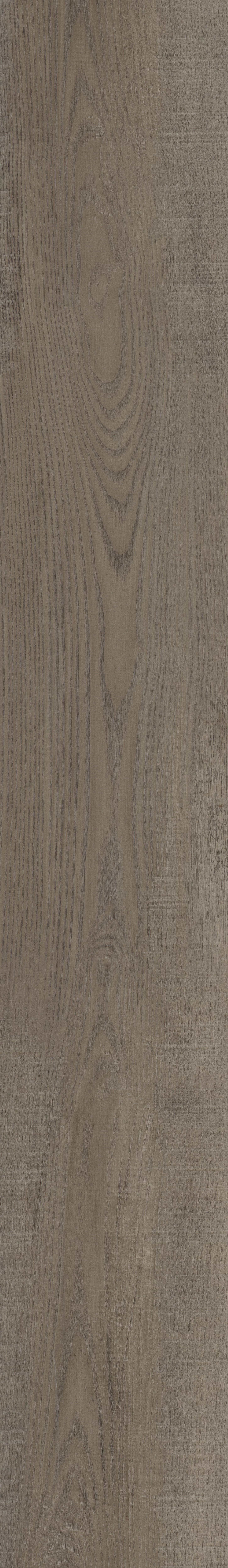 COREtec Pro Plus - Laguna Oak VV017-01016