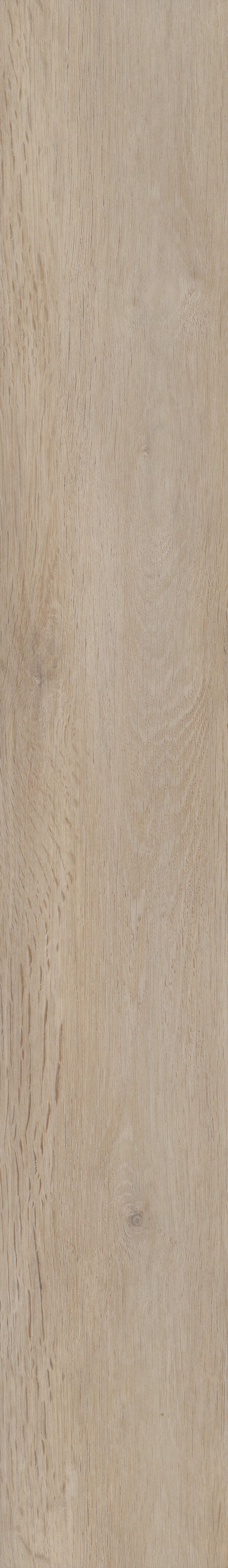 COREtec Pro Plus Enhanced - Aldergrove Oak VV492-02029