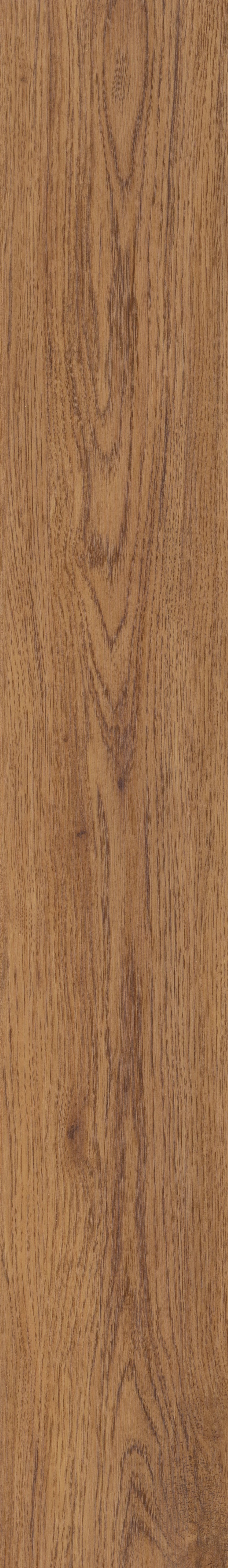 COREtec Plus - 7" Marsh Oak VV024-00714
