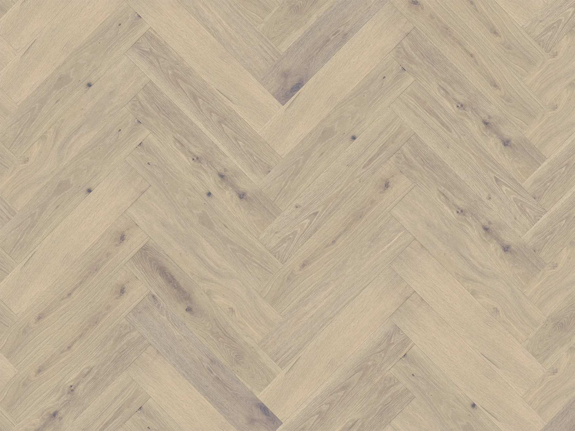 Duchateau Herringbone Global Winds - MISTRAL (5" x 24")