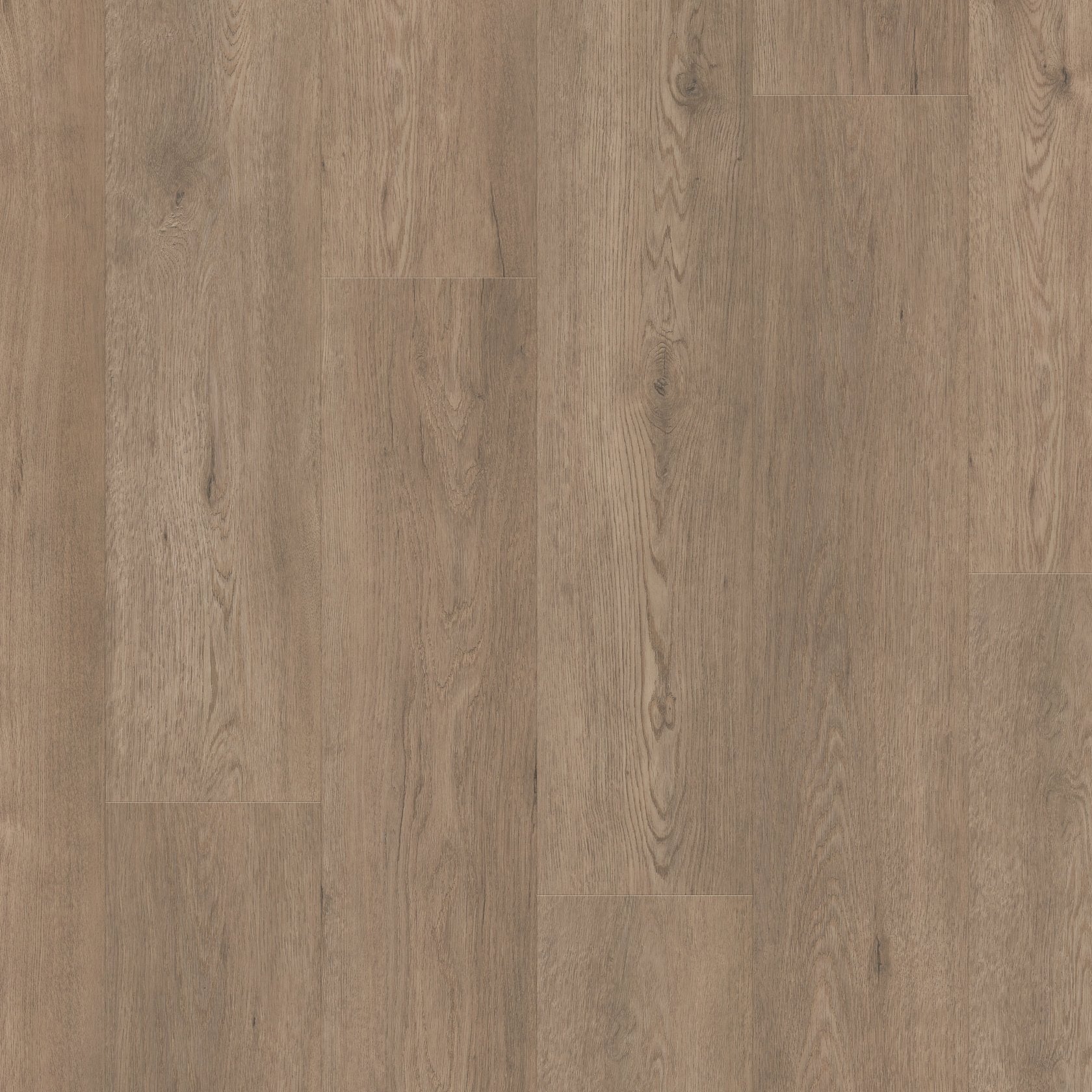 Shaw Paragon HD+ Natural Bevel - WINTHROP 3038V-05259