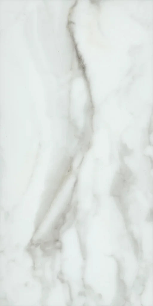 Shaw Paragon Tile Plus - Calacatta 1022V-01100