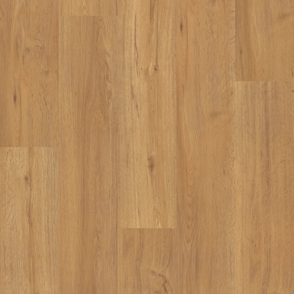 Shaw World's Fair 6 II - San Francisco 6" ($2.99 p/sf) 2044V-00251