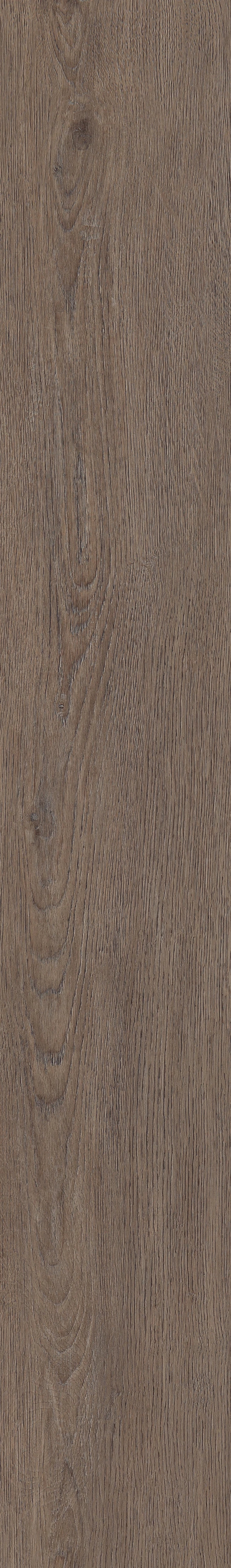 COREtec Plus - 7" Eastwell Oak VV024-07034