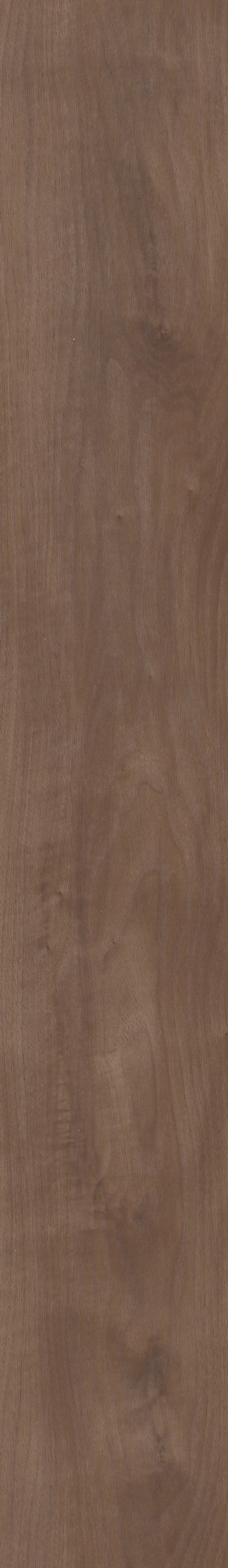 COREtec Plus Soft Step - 7" Chromatic Beech ($8.79 p/sf) VV820-07024