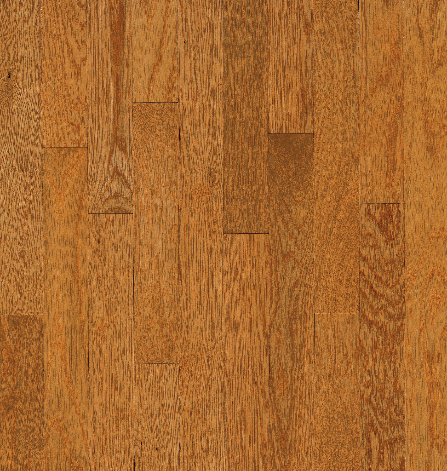 Bruce Solid Natural Choice - 2-1/4" - Butter Rum LG ($8.29/sf)