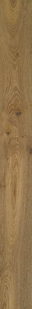 Shaw Engineered - SW707 Expressions- 07063 Artistry