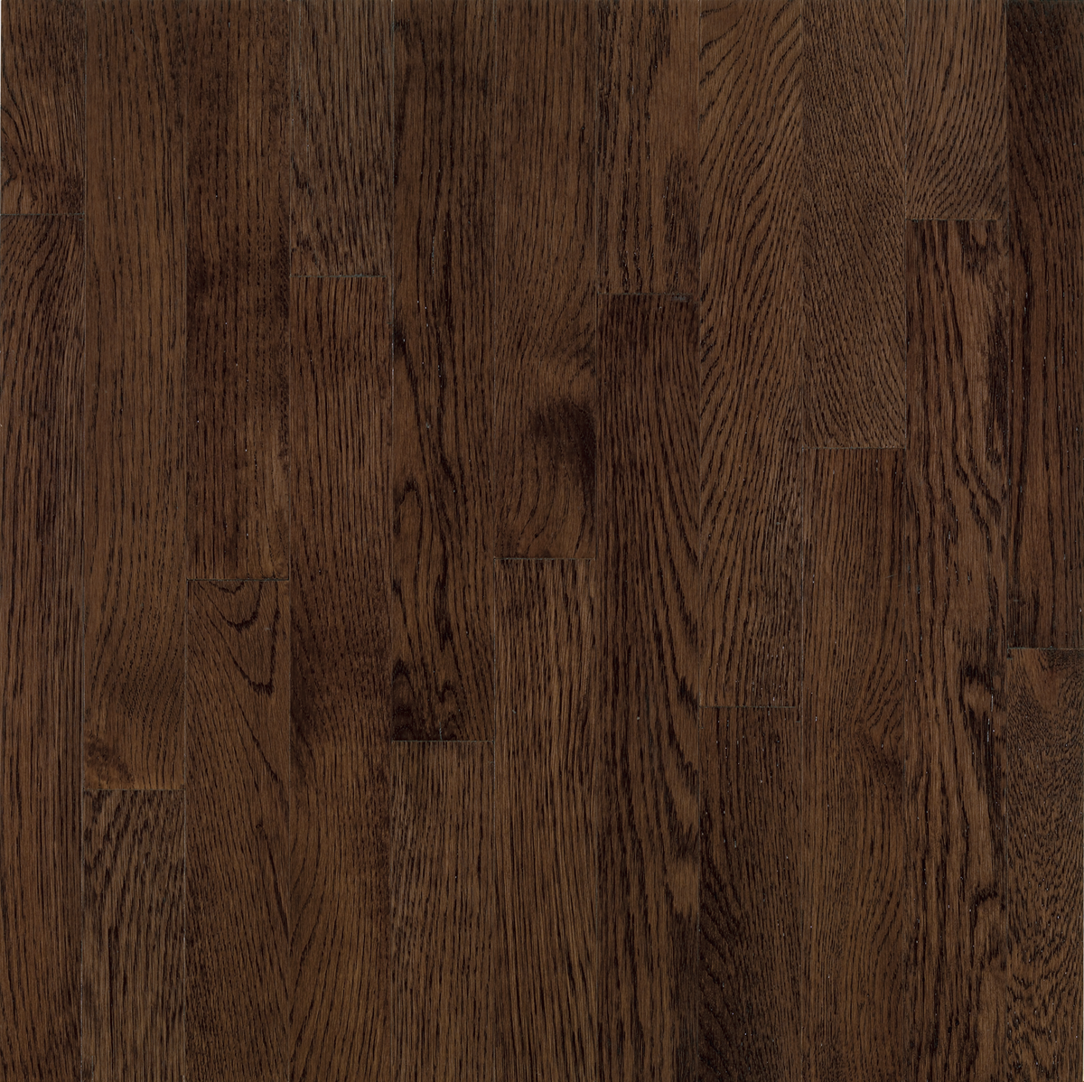 Bruce Dundee 2-1/4" Mocha CB277