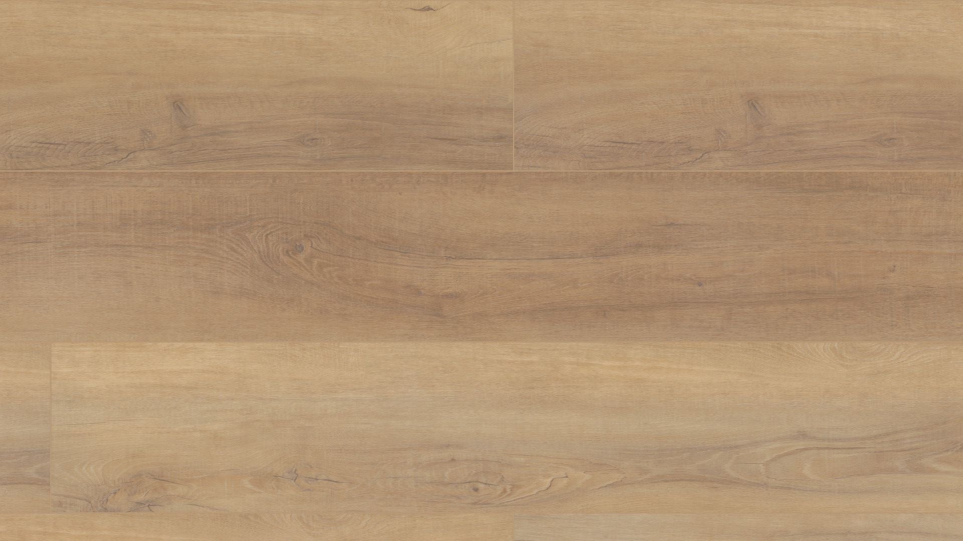 COREtec - Pro Plus XL Enhanced HD - Canterbury Elm VV488-02093