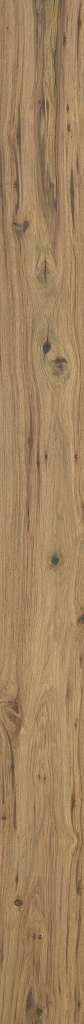 Shaw Engineered - 221SA INSPIRATIONS HICKORY - 01033 Luminous
