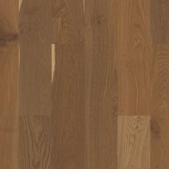 Shaw Engineered - SW707 Expressions- 07067 Prose