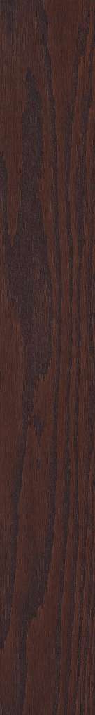 Shaw Hardwood Albright Oak 5" - Hazelnut SW582-00874