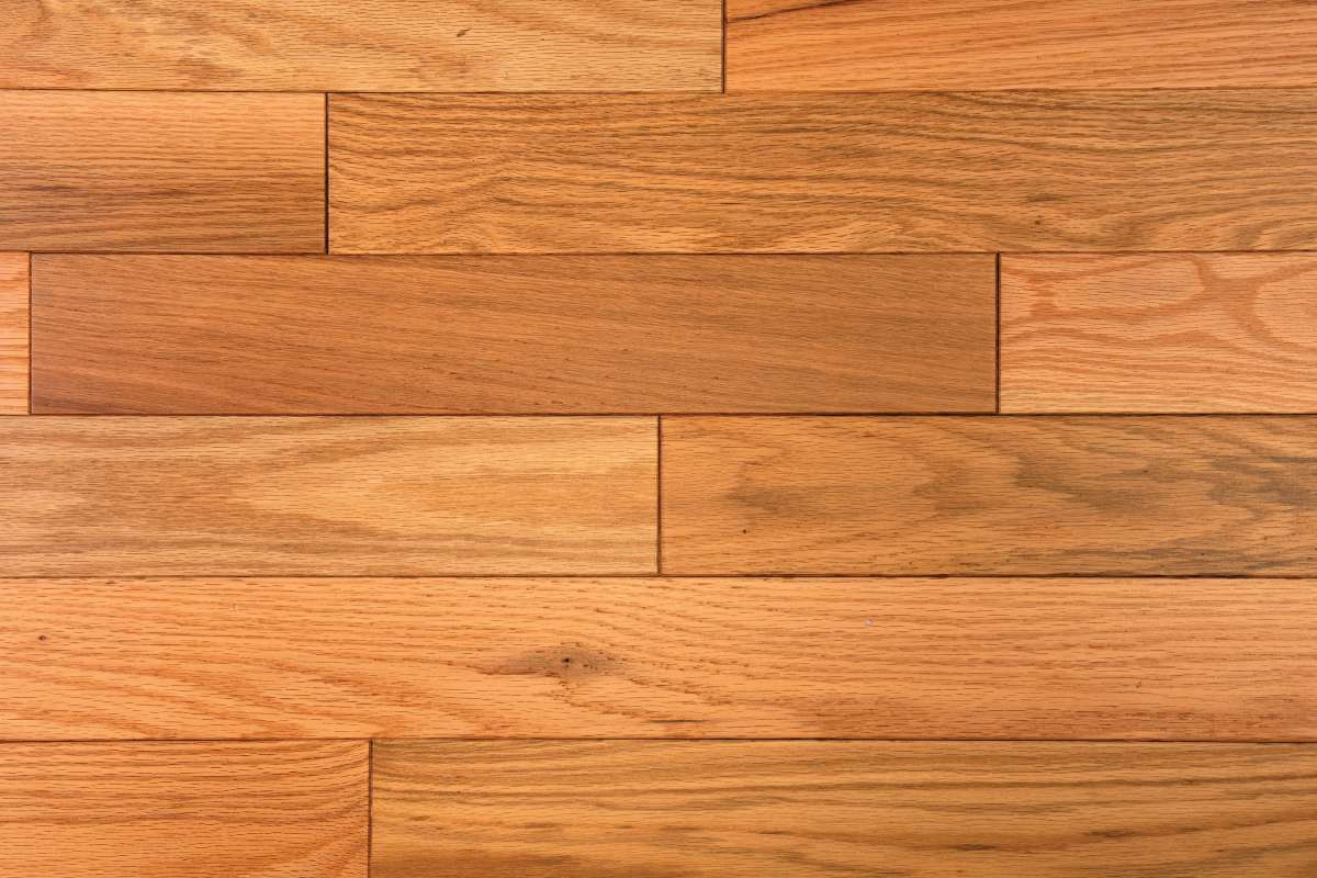 Solid Traditional Strip