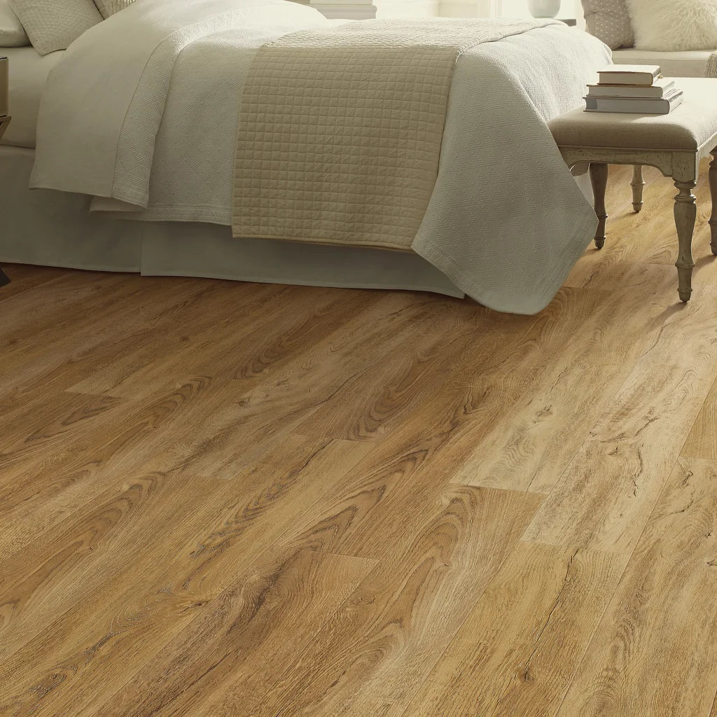 Shaw Pantheon HD Plus - FORESTA 2001V-00282
