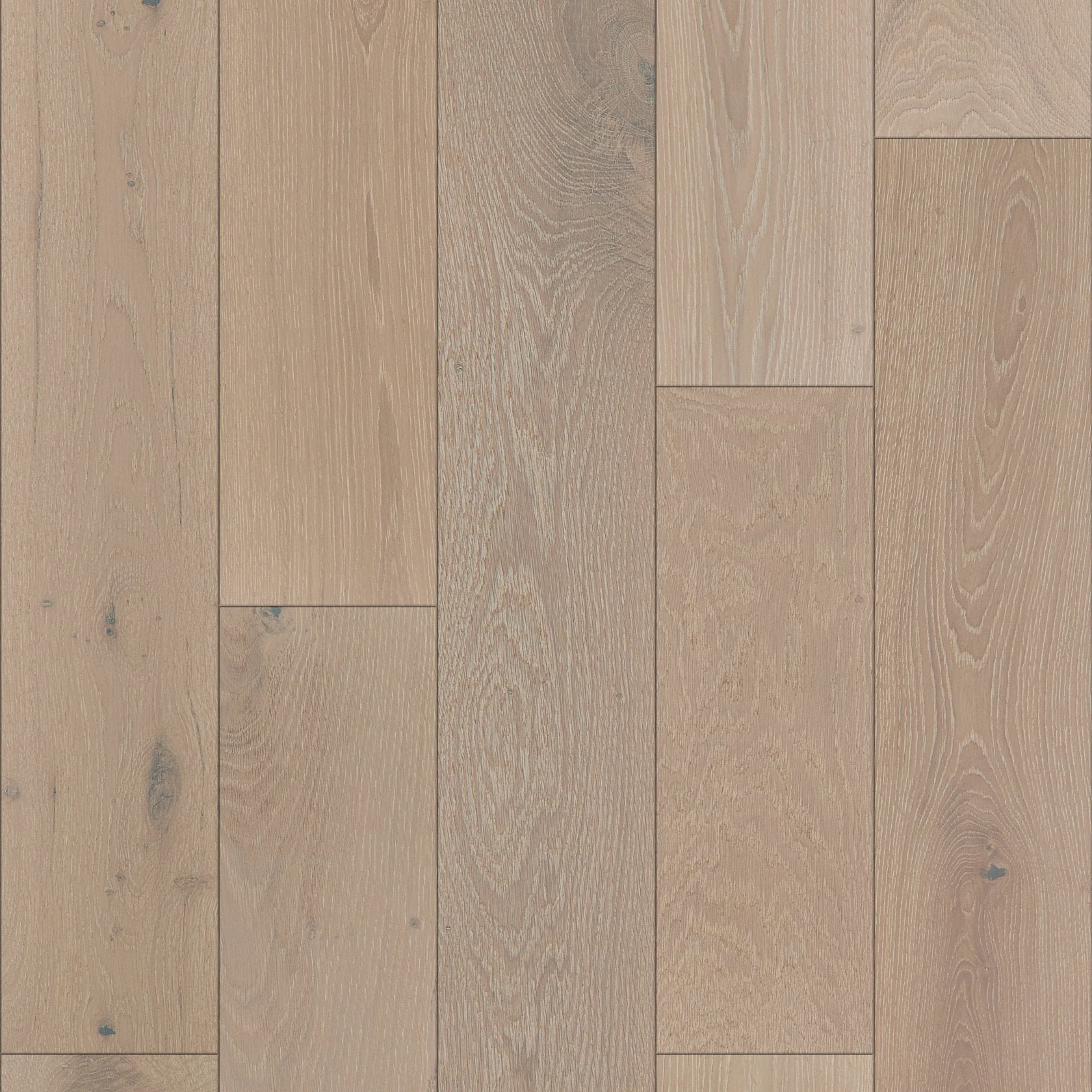 Shaw Expressions - MELODY ($10.89 p/sf) SW707-01077