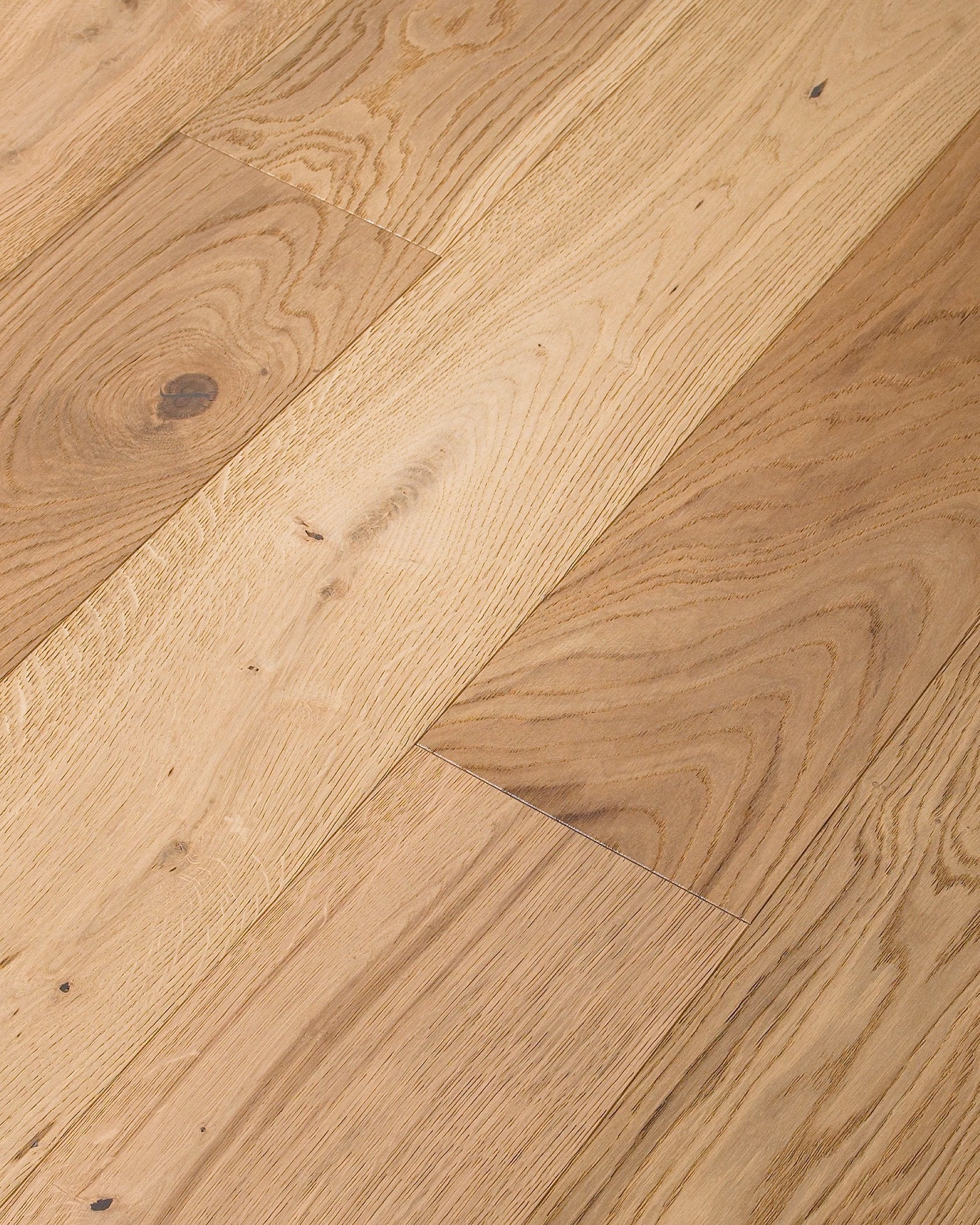 Shaw Expressions - HARMONY ($10.89 p/sf) SW707-02050