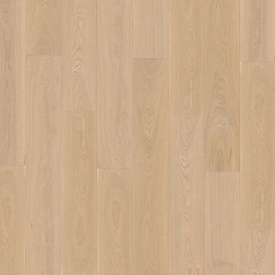 Duchateau Vernal - AGNO (5/8" x 7-1/2")