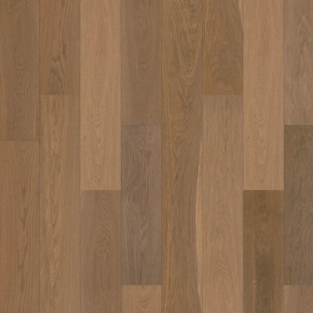 Duchateau Vernal - BELVEDERE (5/8" x 7-1/2")