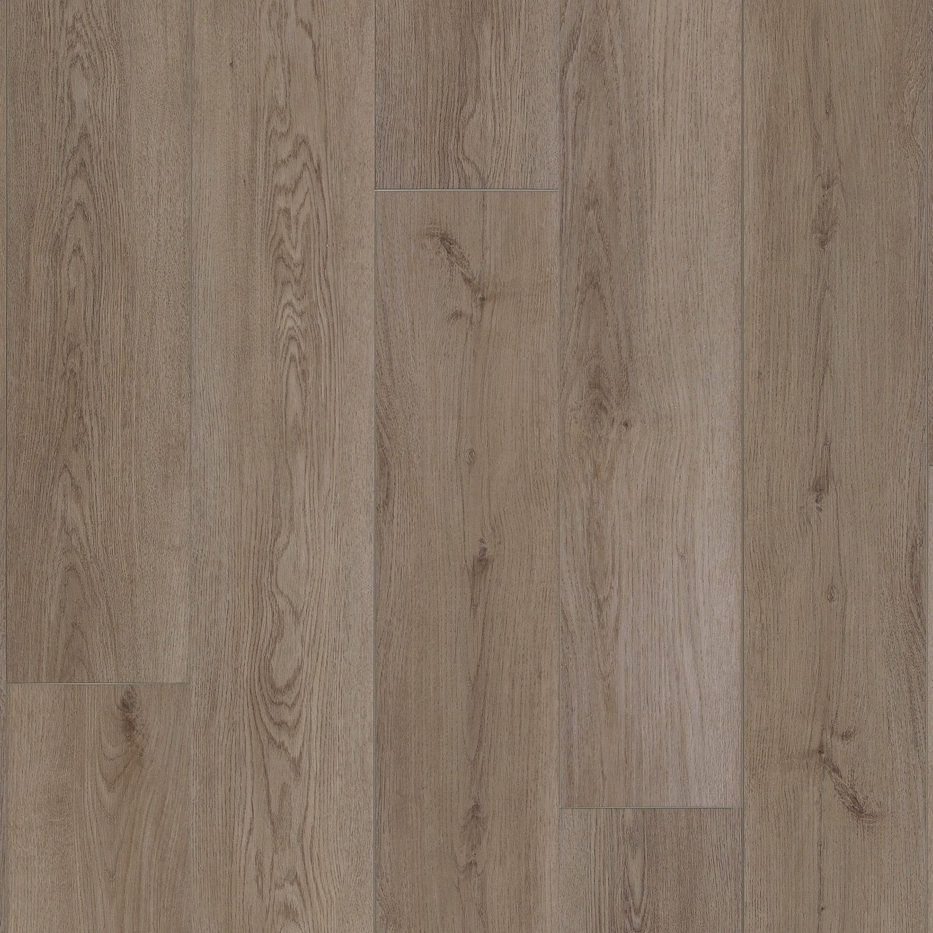 COREtec Plus Enhanced - 7" Southmere Oak VV855-07036