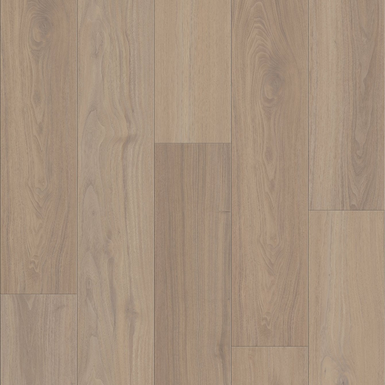 COREtec Plus HD Integrated - 7" Allegiant Walnut VV735-05023