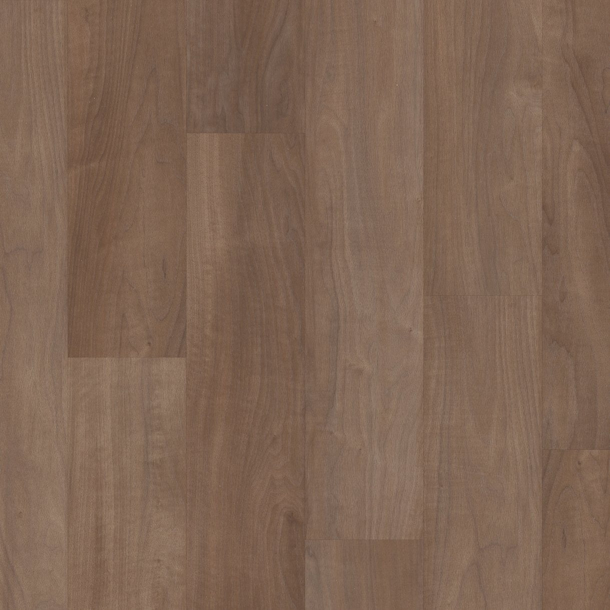 COREtec Plus Soft Step - Chromatic Beech VV820-07024