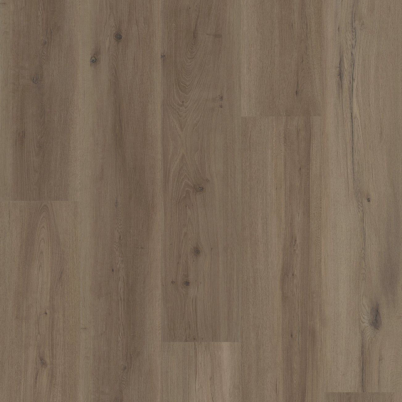 COREtec Plus Soft Step - Mist Oak VV810-04028
