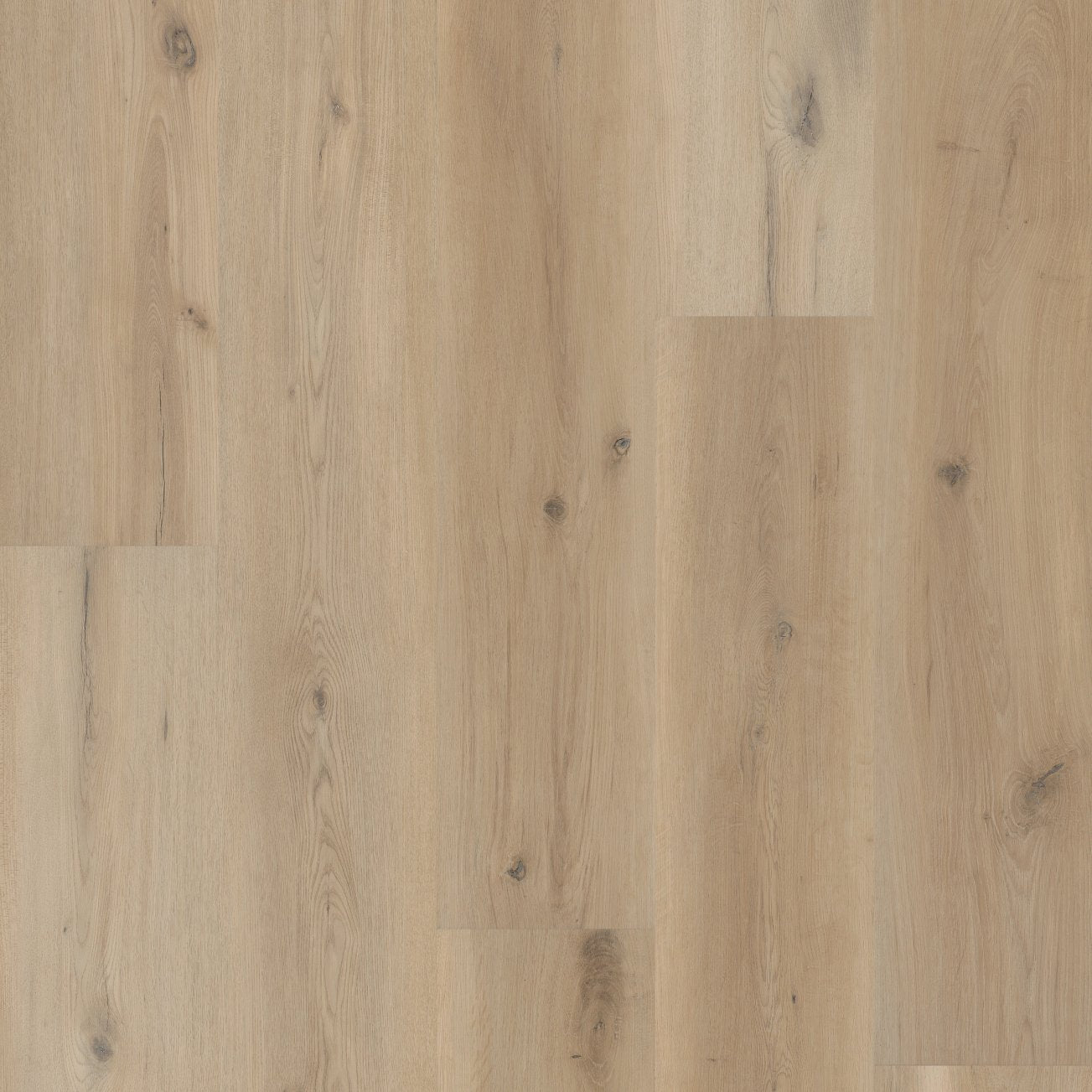 COREtec Plus Soft Step - Sea Salt Oak VV810-05028