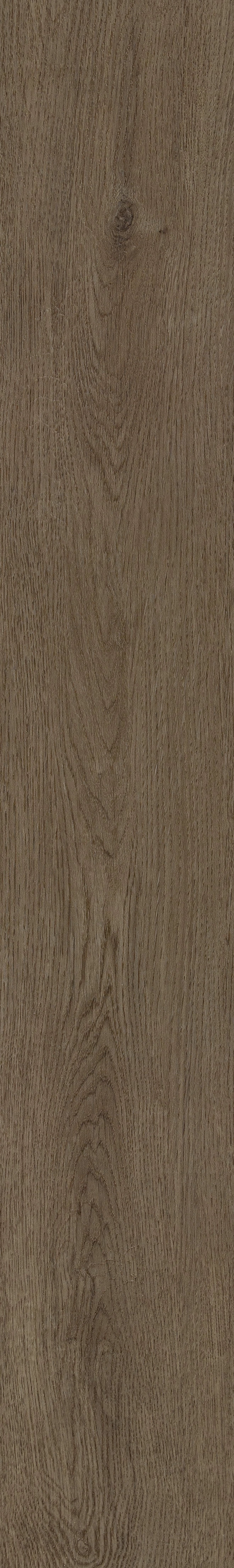 COREtec Plus Plank - 7" Wellstead Oak VV845-03031