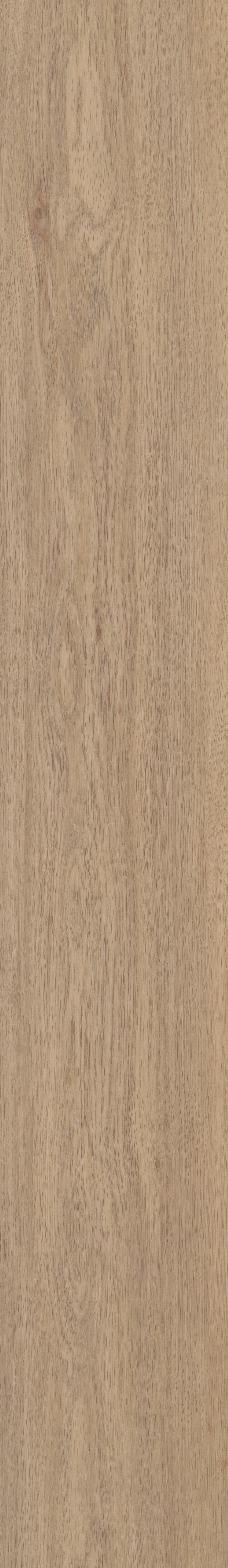 COREtec Pro Plus - Springfield Oak VV017-01020
