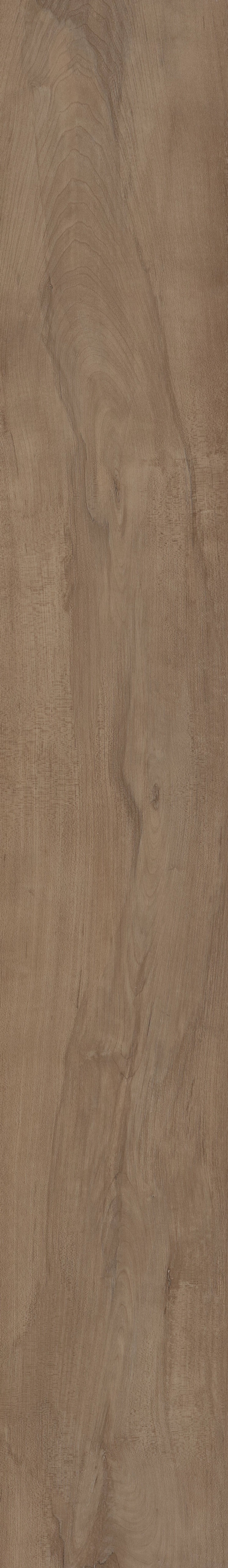 COREtec Pro Plus Integrated - Warmick Maple VV800-03023