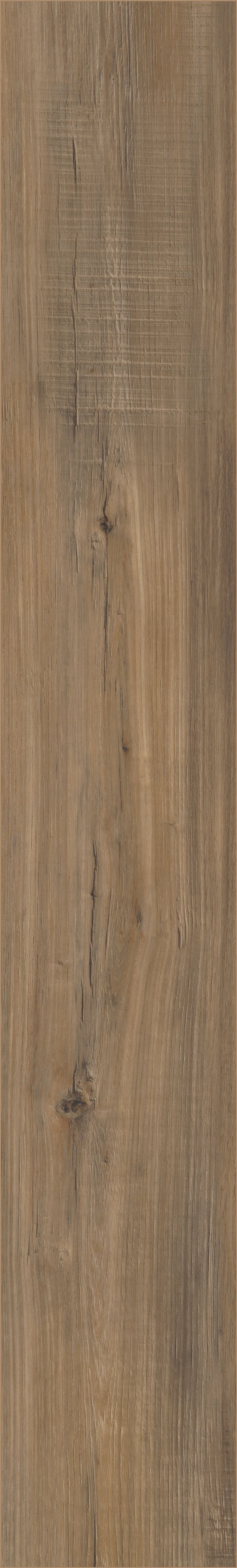 COREtec Pro Plus Enhanced - Edinburgh Oak VV492-02001