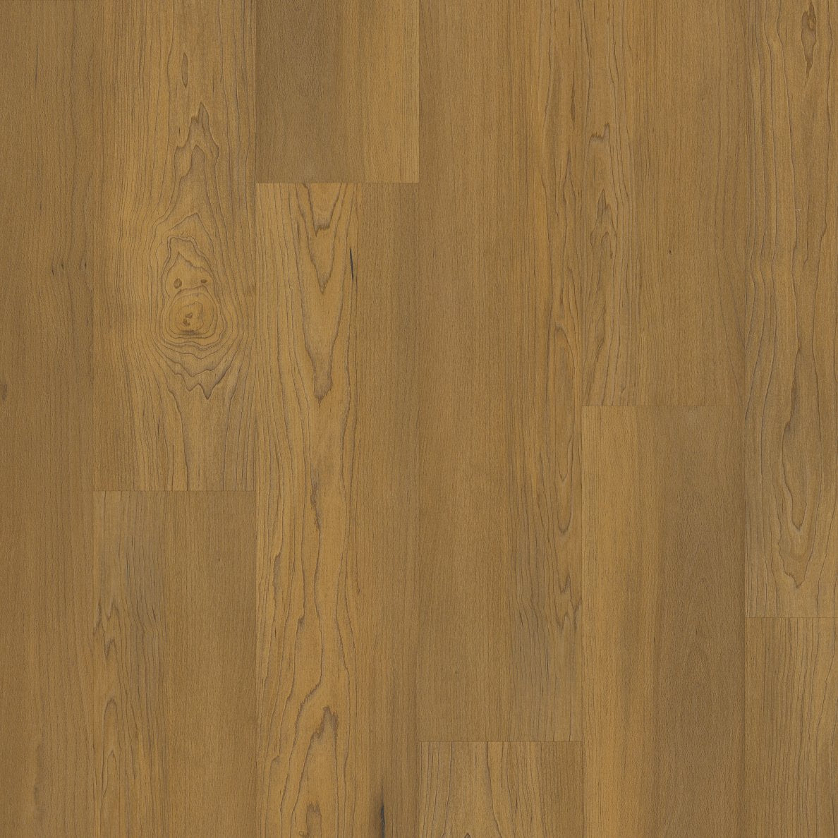 COREtec Pro Plus Integrated - Essex Maple VV800-02035