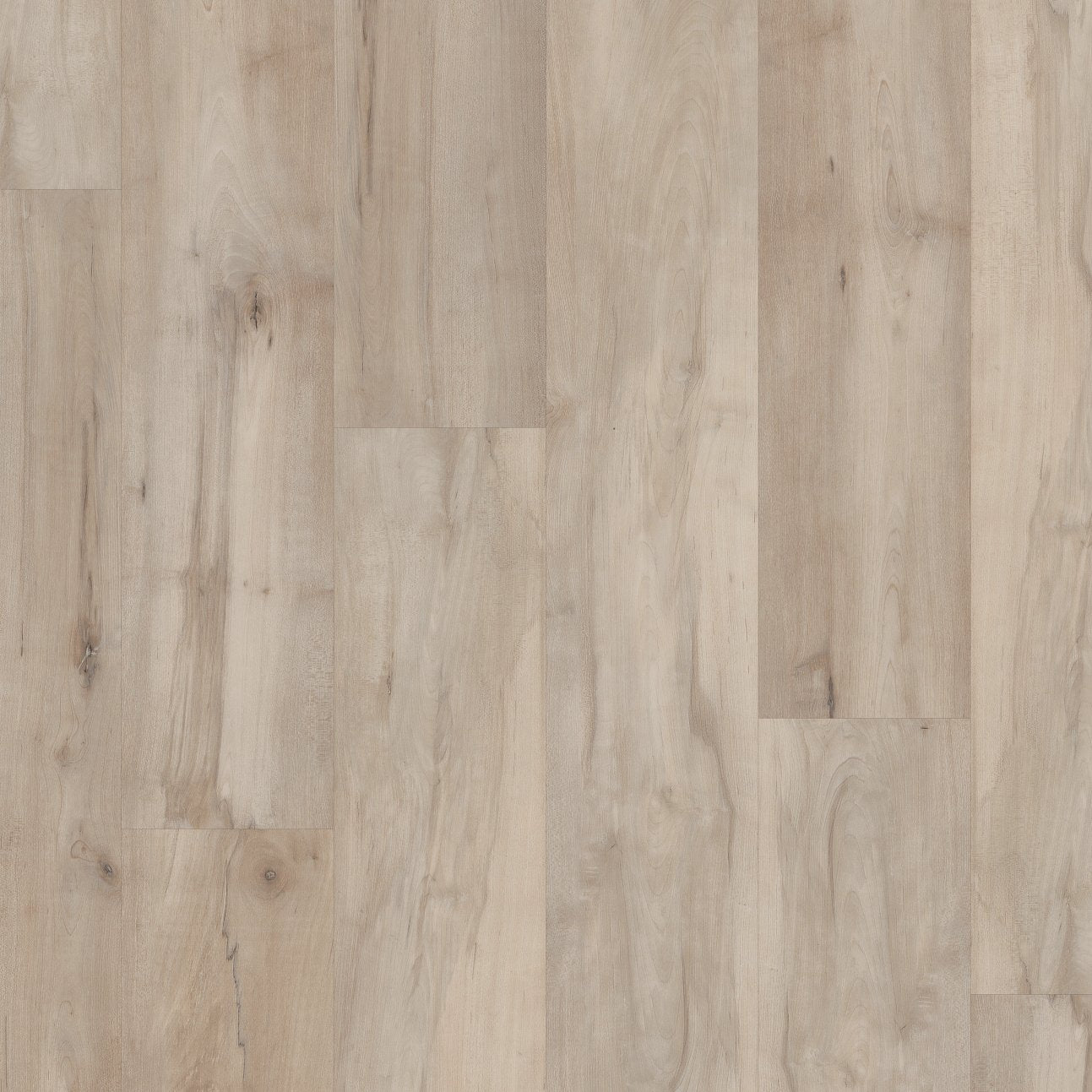 COREtec Pro Plus Integrated - Lawrence Maple VV800-07026