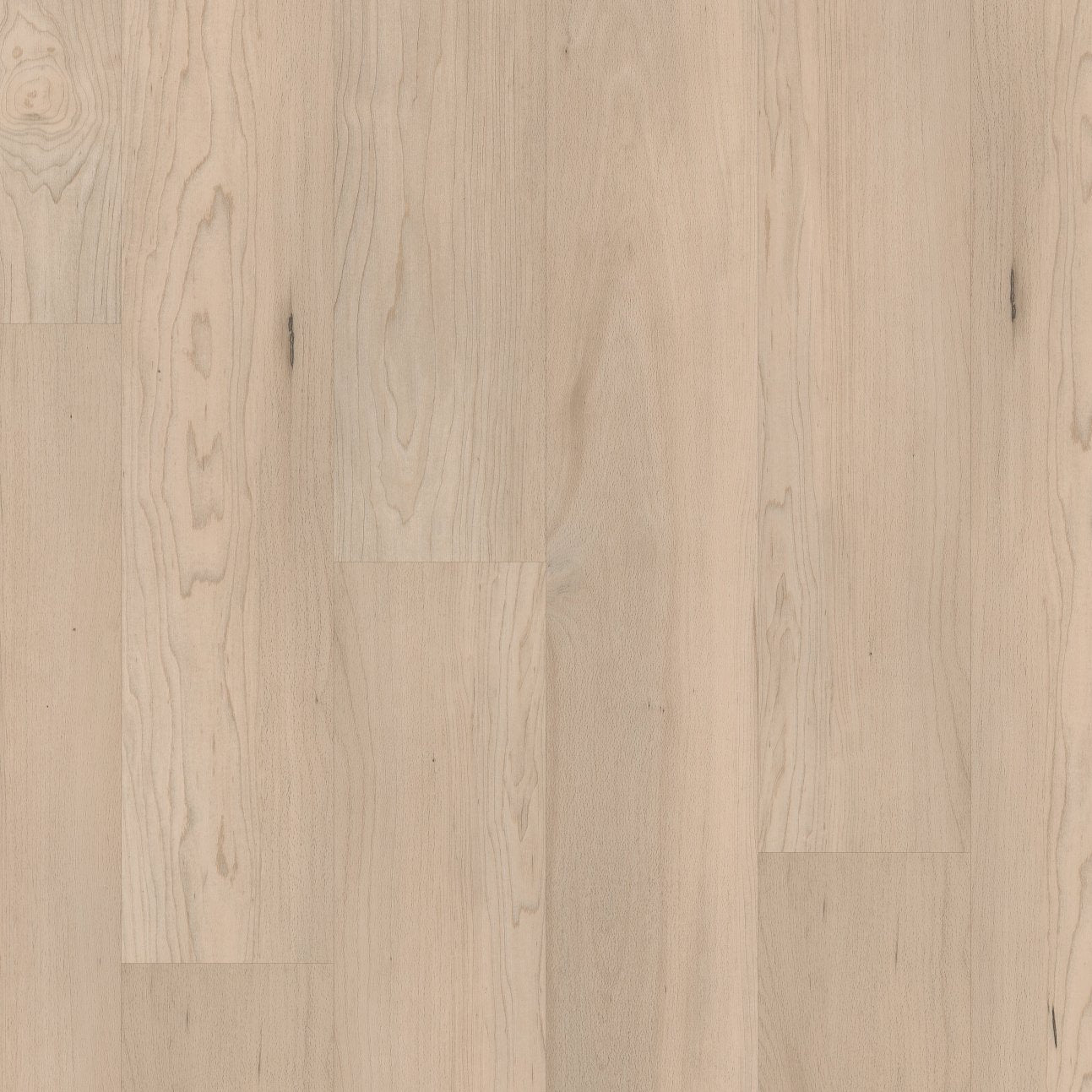 COREtec Pro Plus Integrated - Norfolk Maple VV800-08007